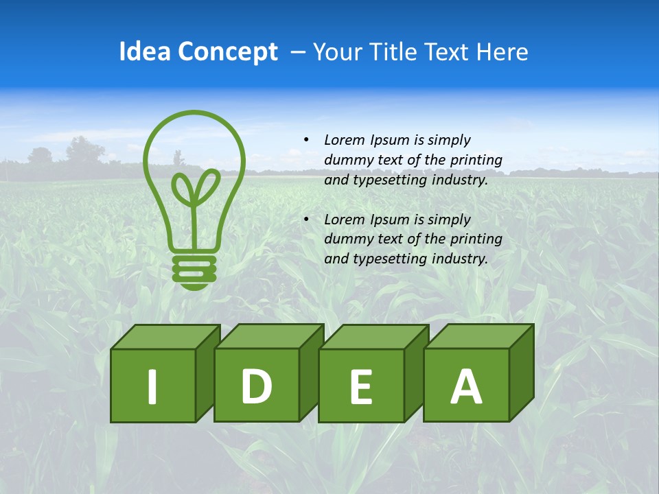 Spring Background Corn PowerPoint Template