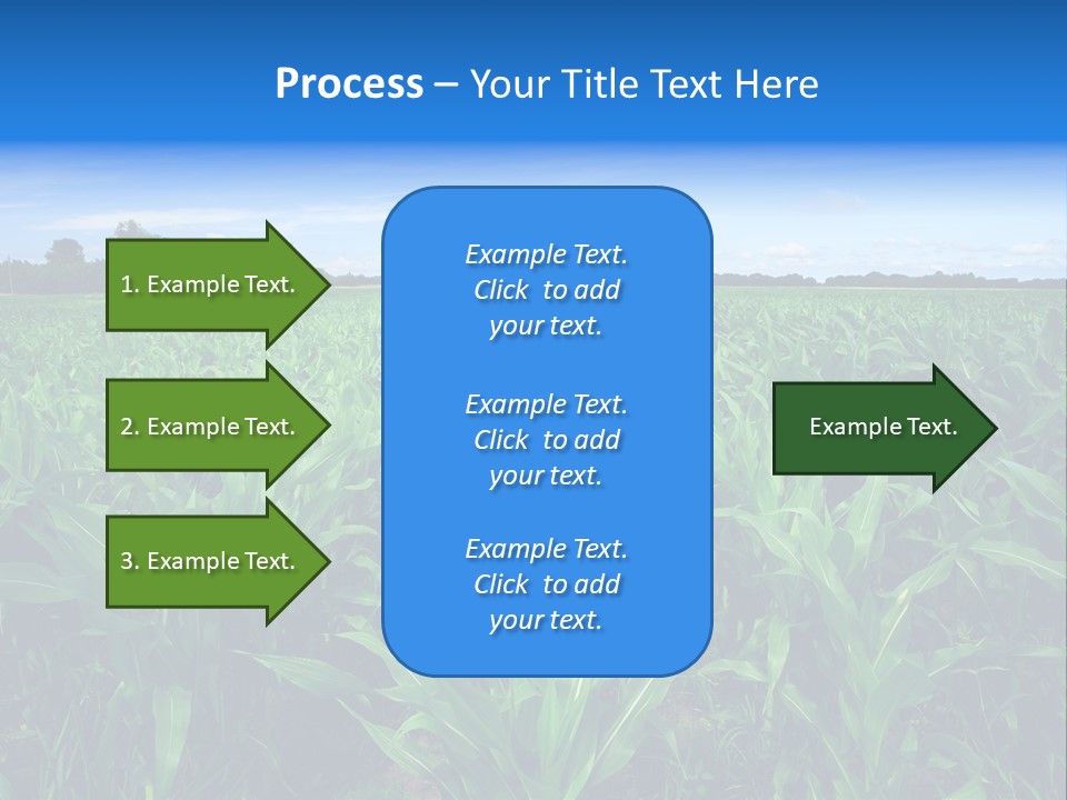 Spring Background Corn PowerPoint Template