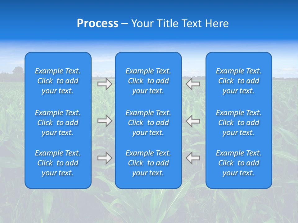 Spring Background Corn PowerPoint Template