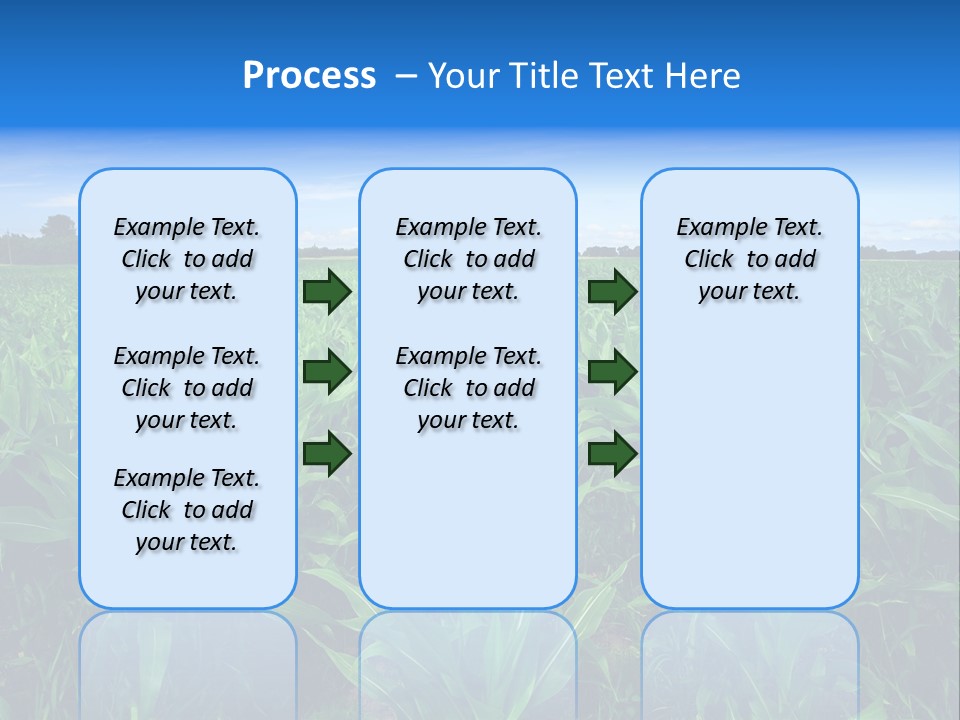 Spring Background Corn PowerPoint Template