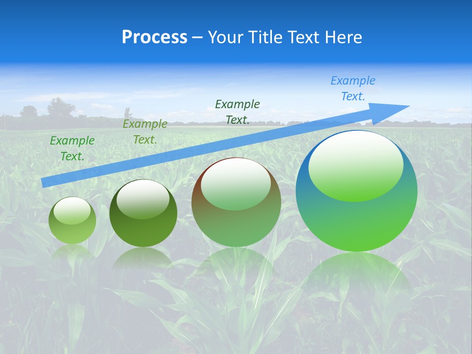 Spring Background Corn PowerPoint Template