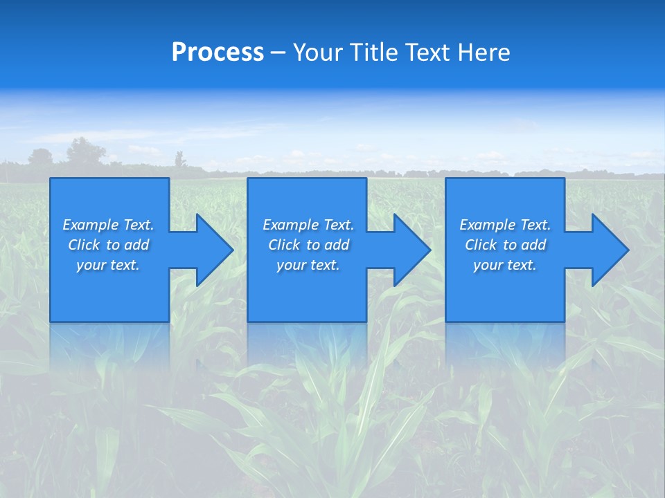 Spring Background Corn PowerPoint Template