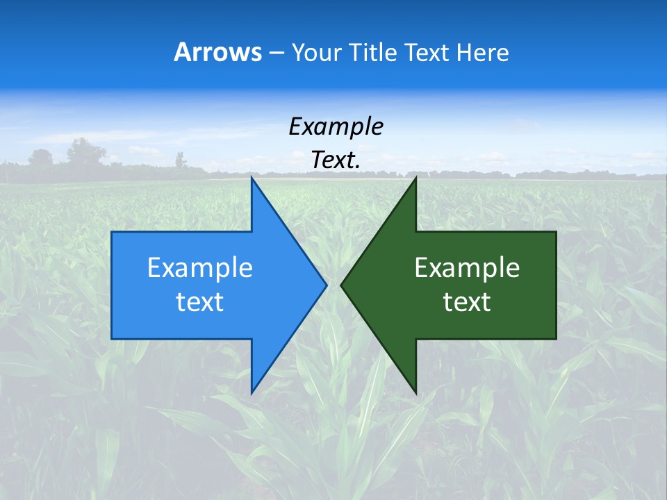 Spring Background Corn PowerPoint Template