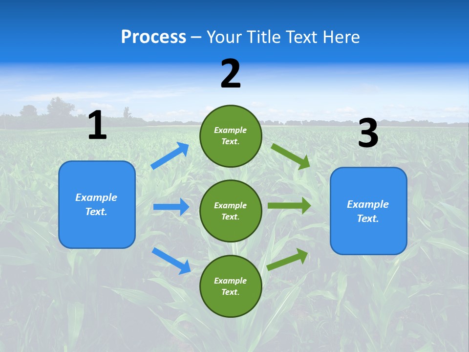 Spring Background Corn PowerPoint Template
