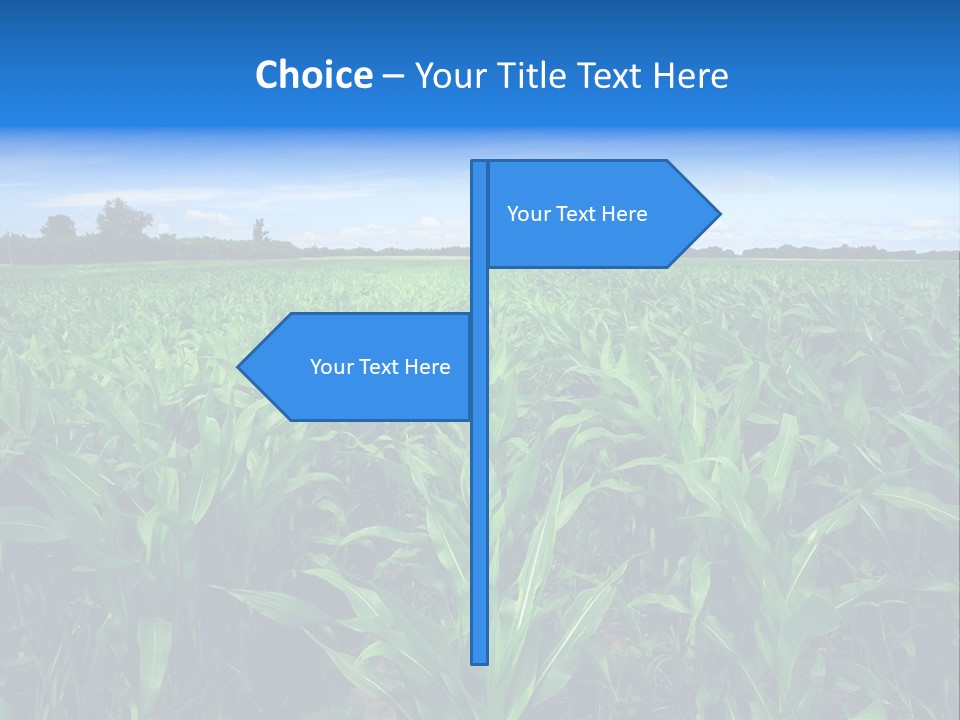 Spring Background Corn PowerPoint Template