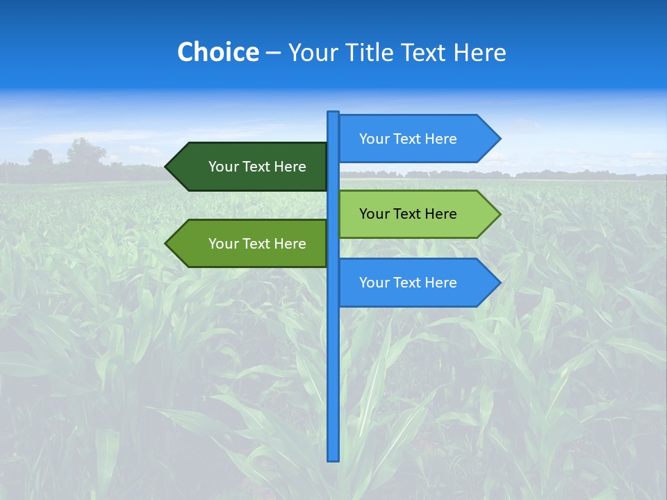 Spring Background Corn PowerPoint Template