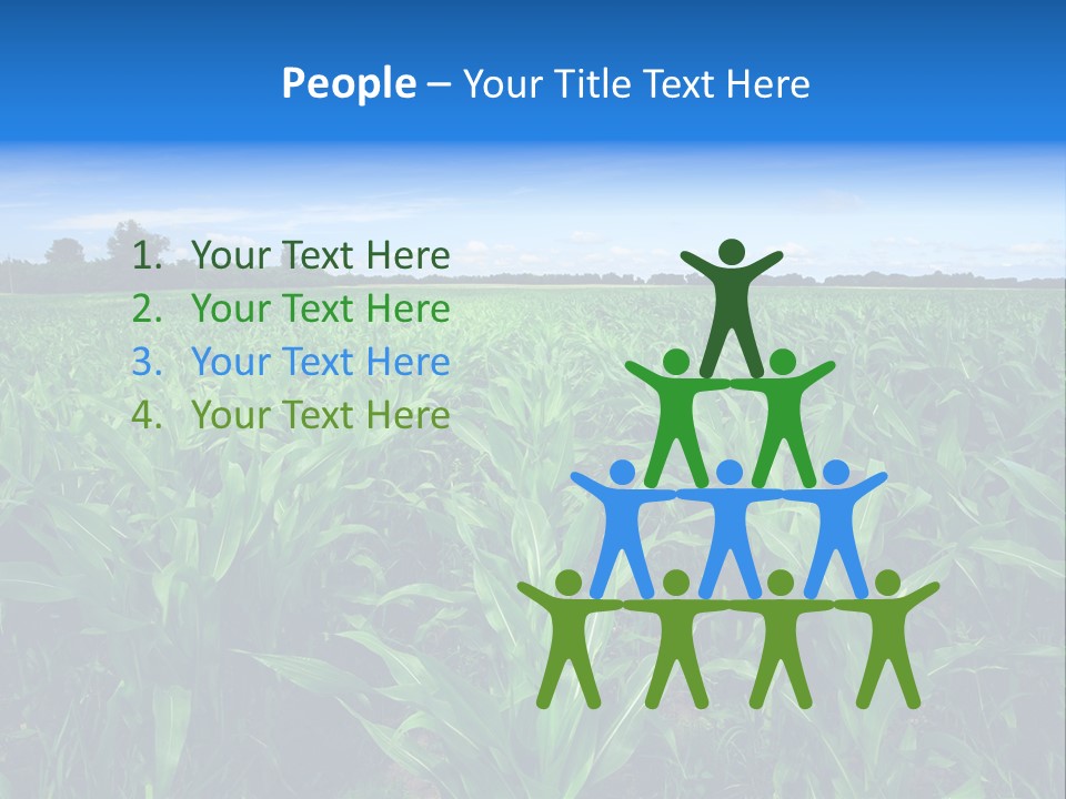 Spring Background Corn PowerPoint Template