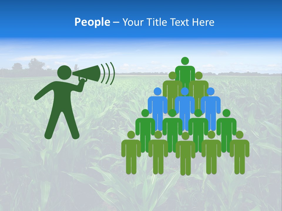 Spring Background Corn PowerPoint Template