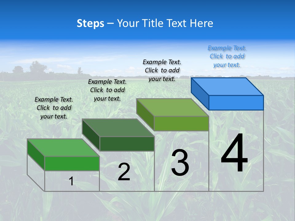 Spring Background Corn PowerPoint Template