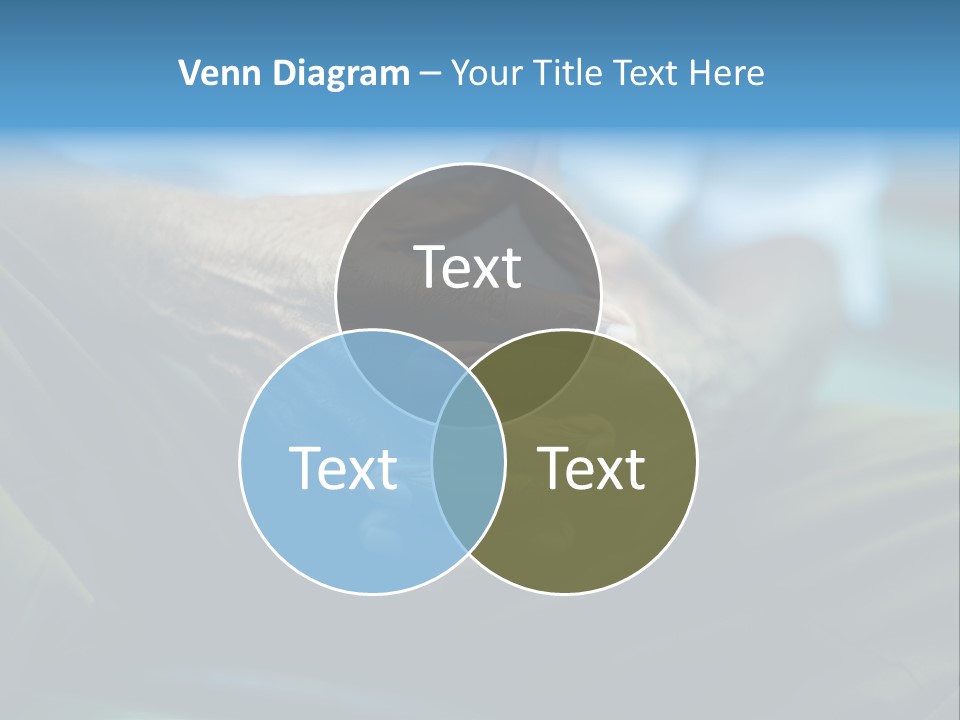 Thoughtful Grandfather S PowerPoint Template