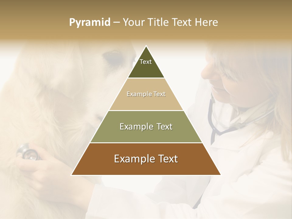 Medicine Female  PowerPoint Template