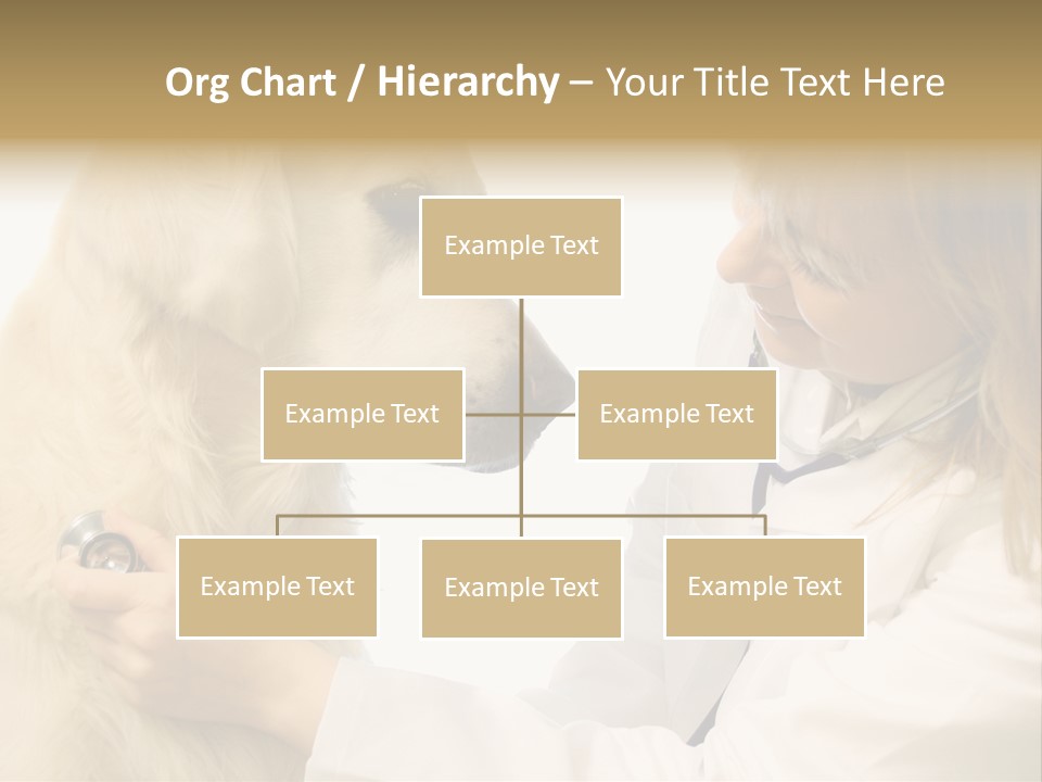 Medicine Female  PowerPoint Template
