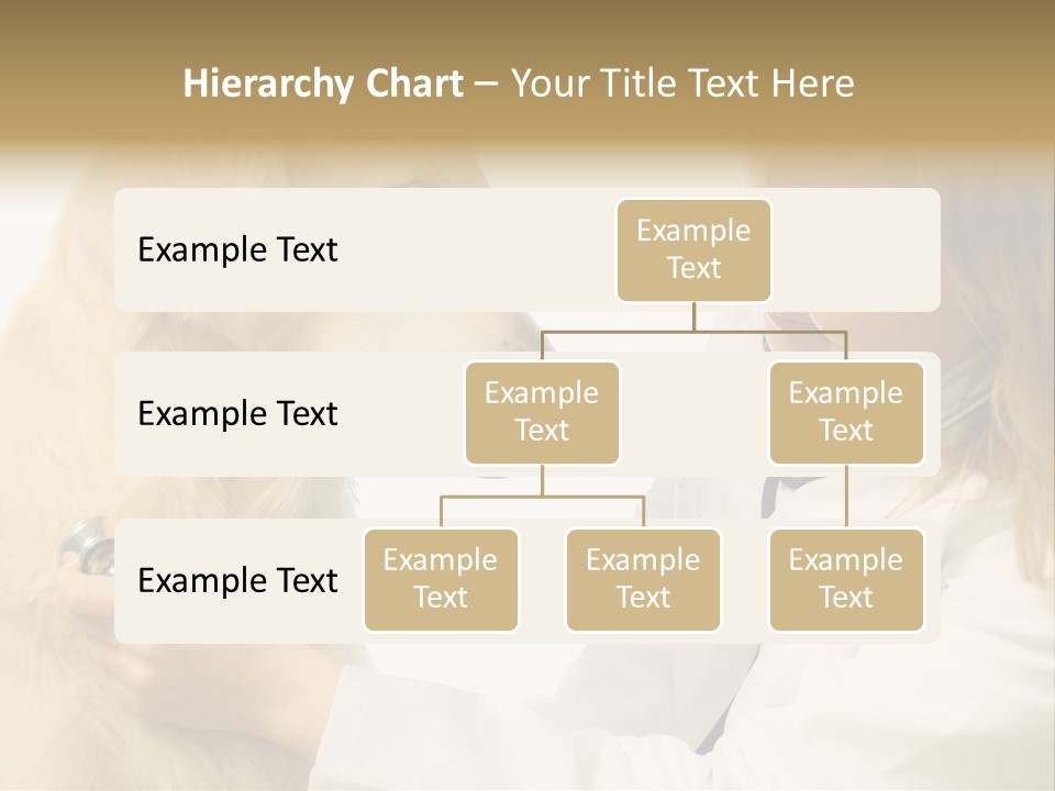 Medicine Female  PowerPoint Template