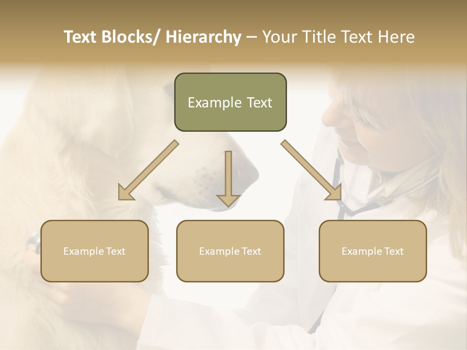 Medicine Female  PowerPoint Template