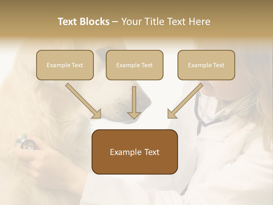 Medicine Female  PowerPoint Template