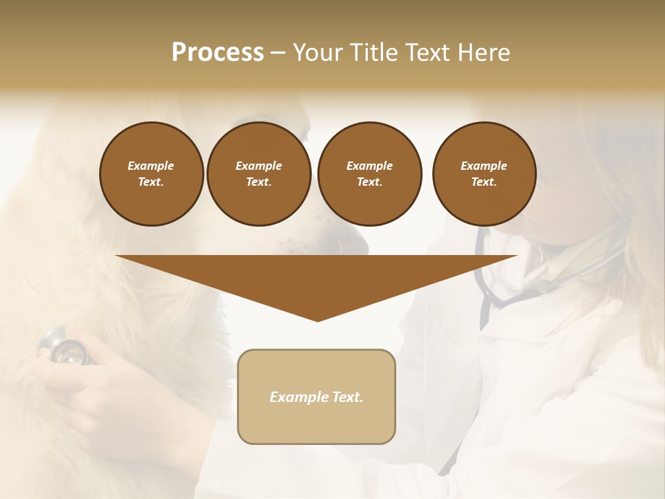 Medicine Female  PowerPoint Template