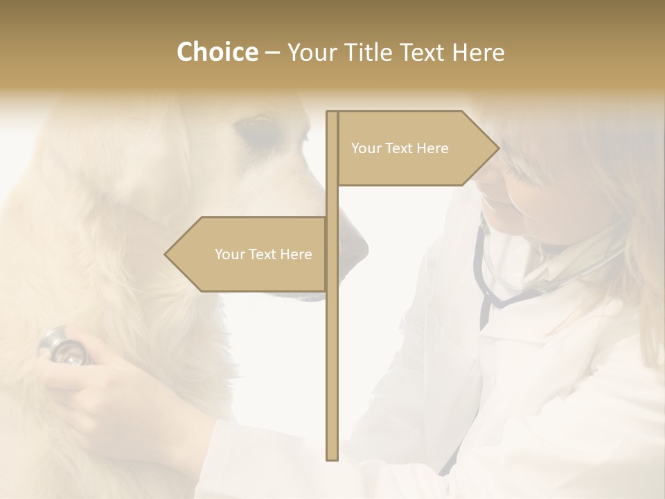 Medicine Female  PowerPoint Template