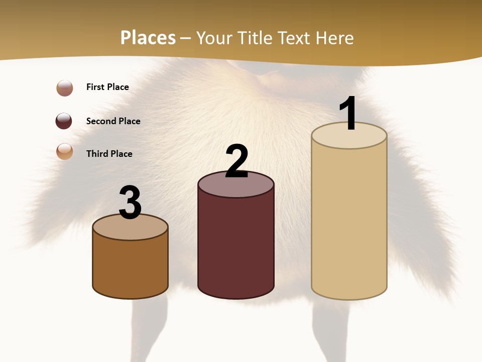 Vertebrate Duckling Closeup PowerPoint Template