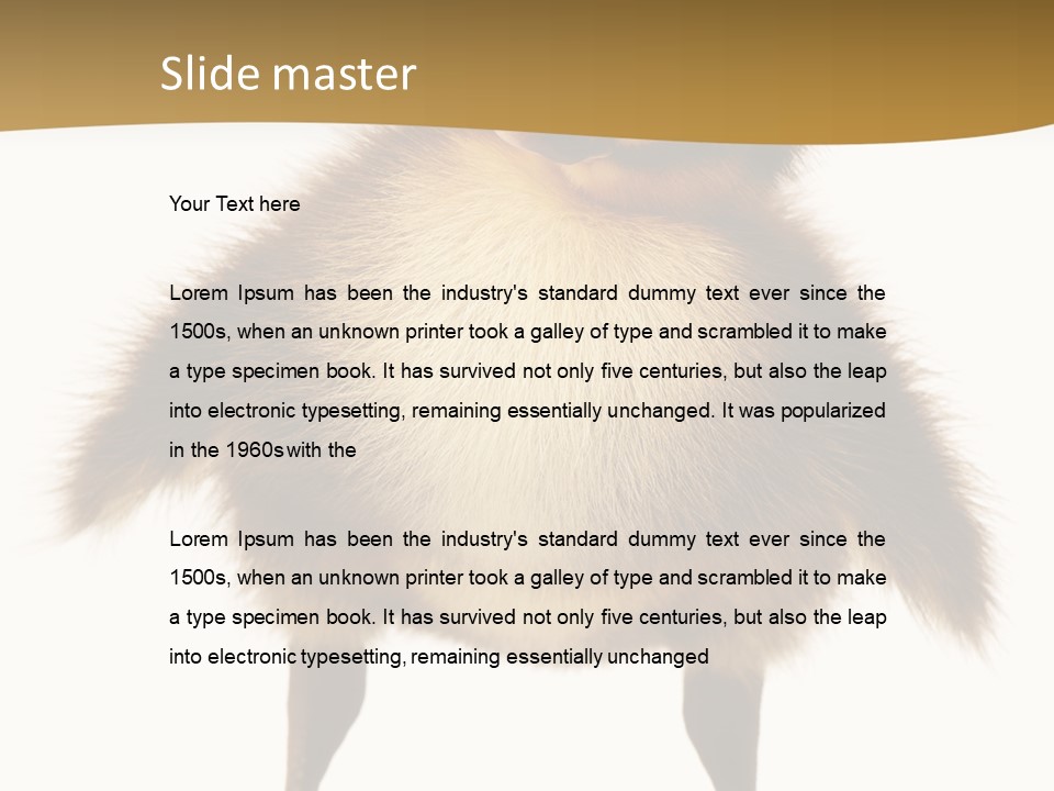 Vertebrate Duckling Closeup PowerPoint Template