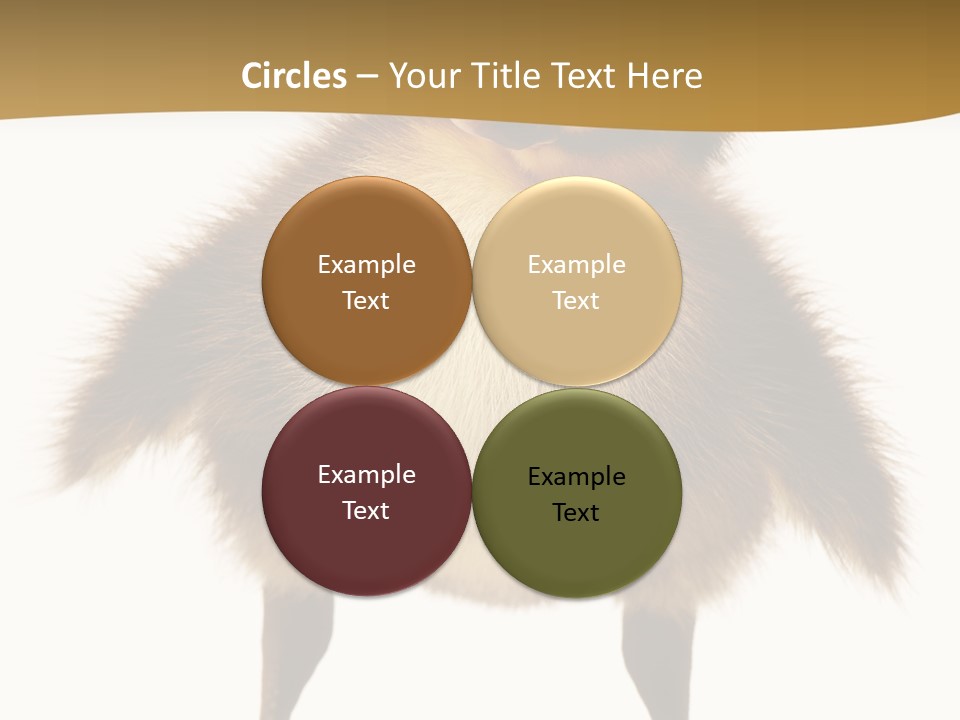 Vertebrate Duckling Closeup PowerPoint Template