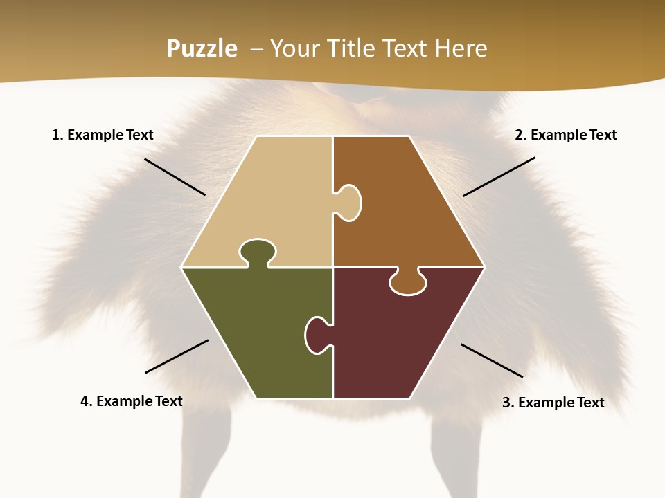 Vertebrate Duckling Closeup PowerPoint Template