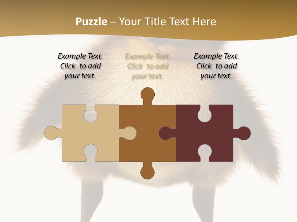 Vertebrate Duckling Closeup PowerPoint Template