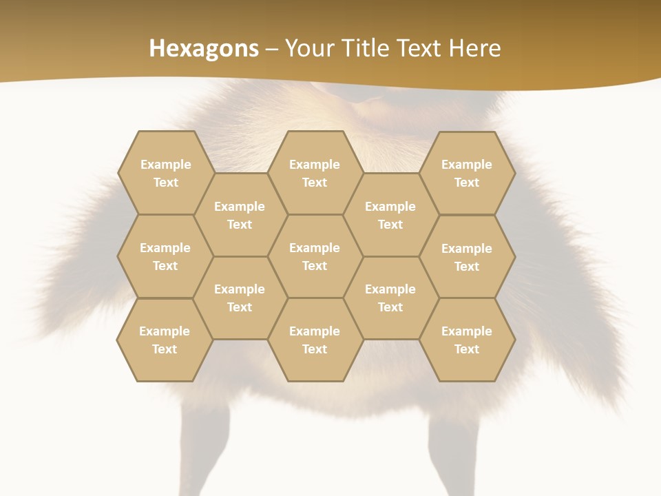 Vertebrate Duckling Closeup PowerPoint Template