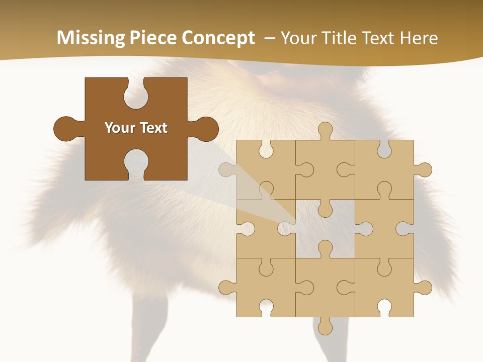 Vertebrate Duckling Closeup PowerPoint Template