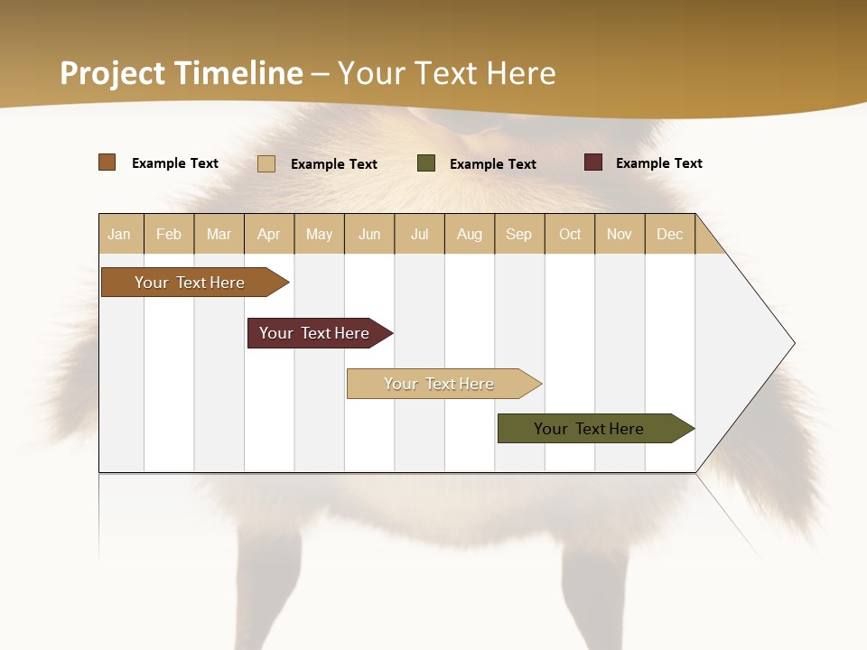 Vertebrate Duckling Closeup PowerPoint Template