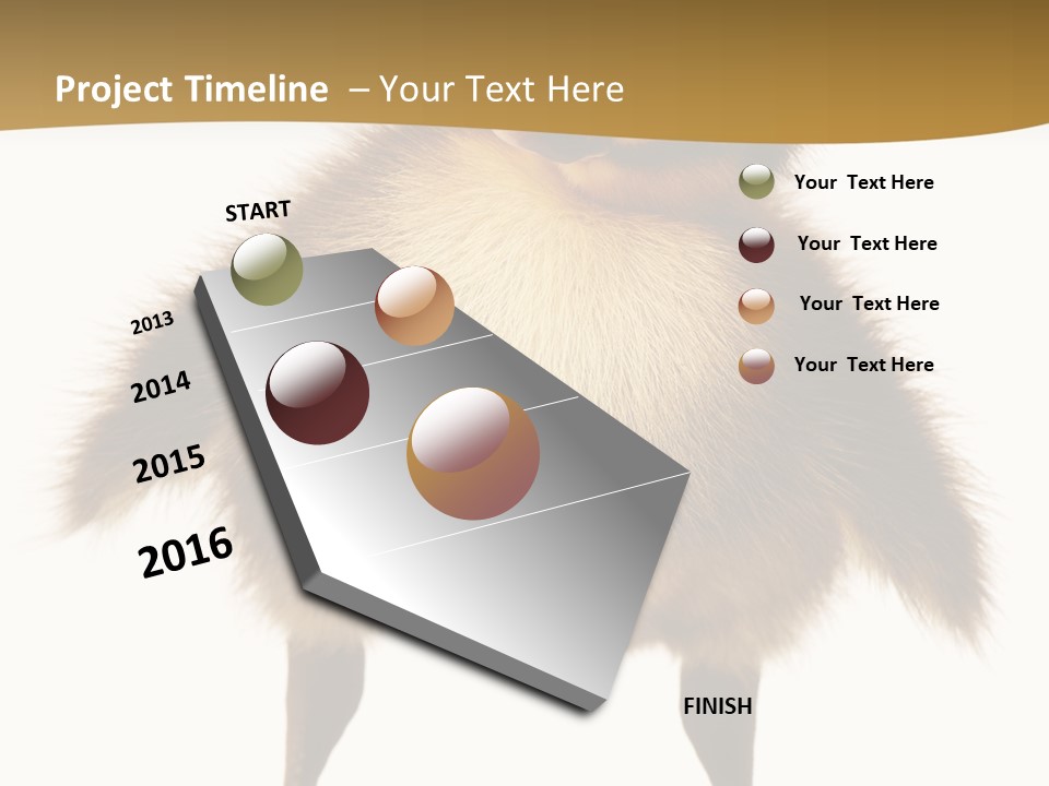 Vertebrate Duckling Closeup PowerPoint Template