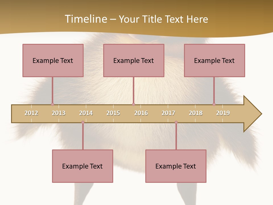 Vertebrate Duckling Closeup PowerPoint Template