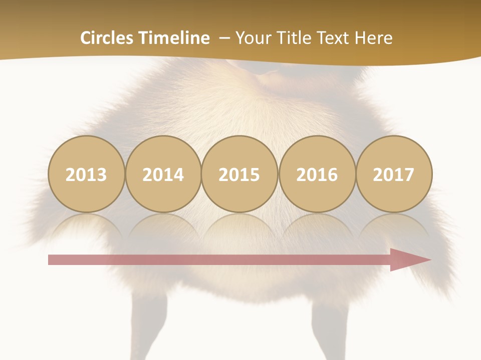 Vertebrate Duckling Closeup PowerPoint Template