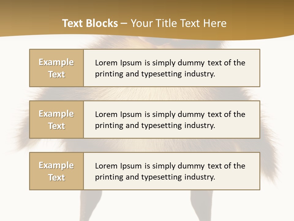 Vertebrate Duckling Closeup PowerPoint Template