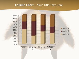 Vertebrate Duckling Closeup PowerPoint Template