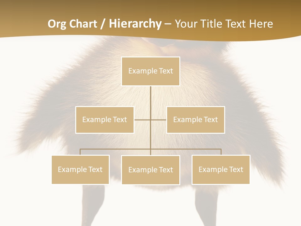 Vertebrate Duckling Closeup PowerPoint Template