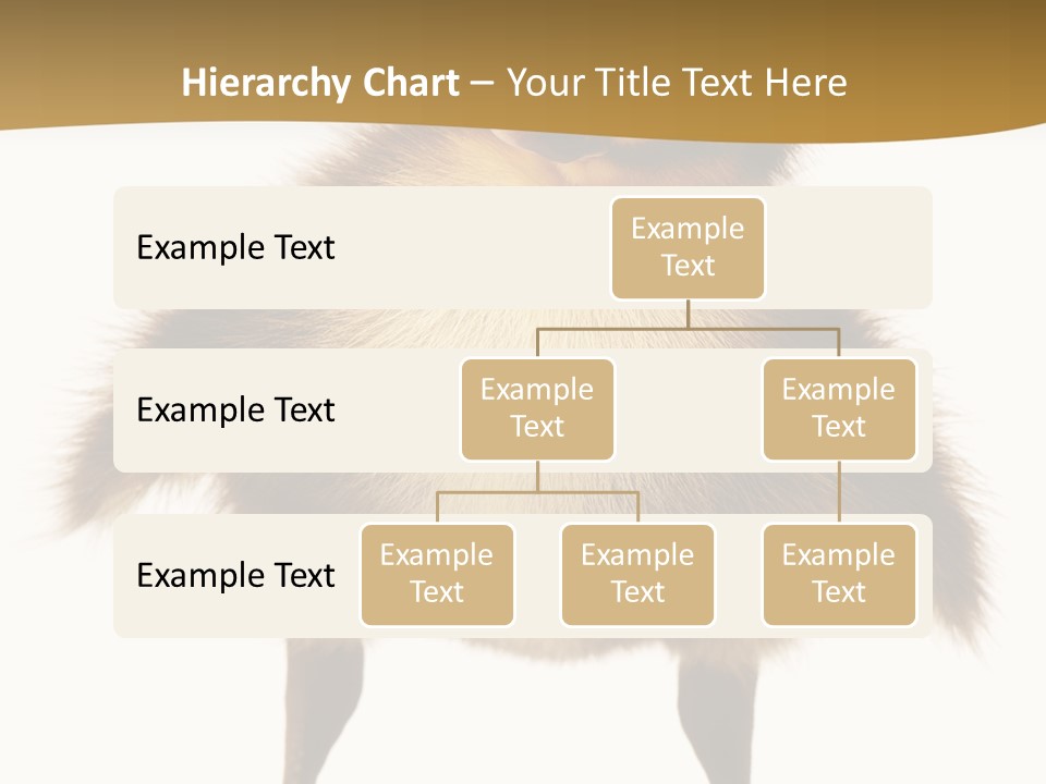 Vertebrate Duckling Closeup PowerPoint Template