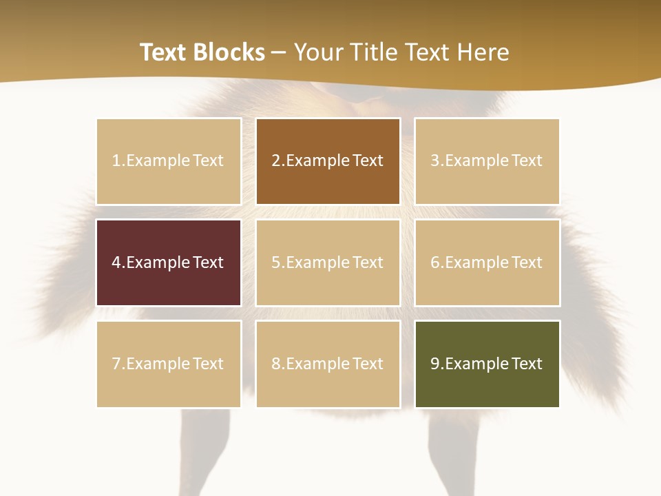 Vertebrate Duckling Closeup PowerPoint Template