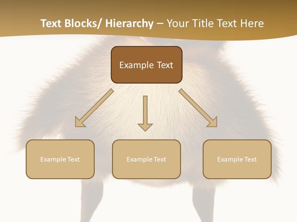 Vertebrate Duckling Closeup PowerPoint Template