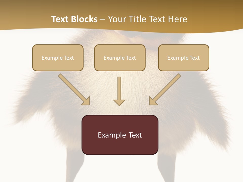 Vertebrate Duckling Closeup PowerPoint Template