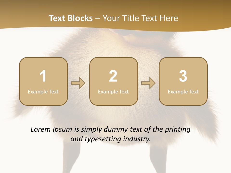 Vertebrate Duckling Closeup PowerPoint Template
