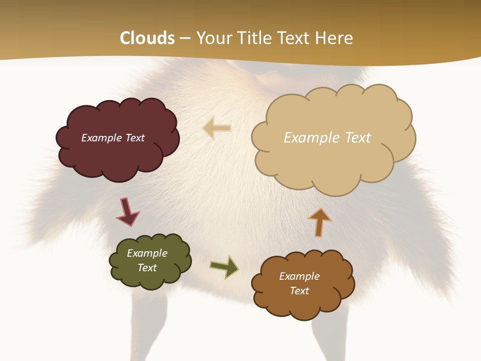 Vertebrate Duckling Closeup PowerPoint Template