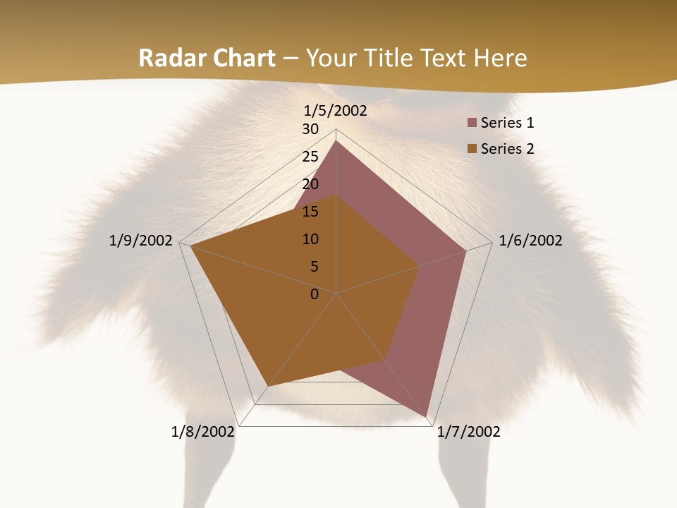 Vertebrate Duckling Closeup PowerPoint Template