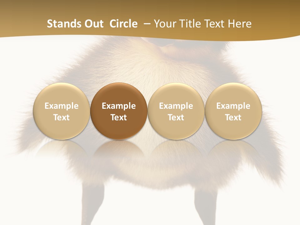Vertebrate Duckling Closeup PowerPoint Template