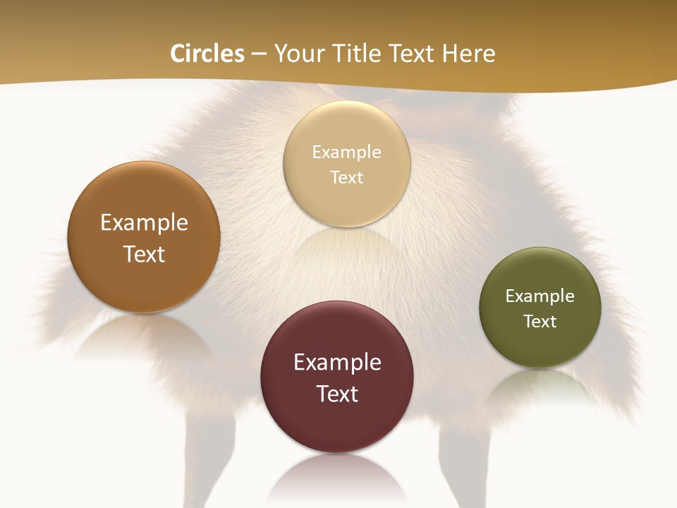 Vertebrate Duckling Closeup PowerPoint Template