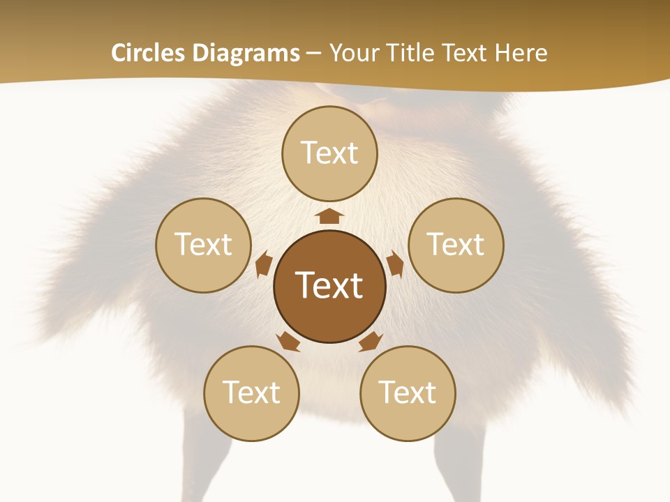 Vertebrate Duckling Closeup PowerPoint Template