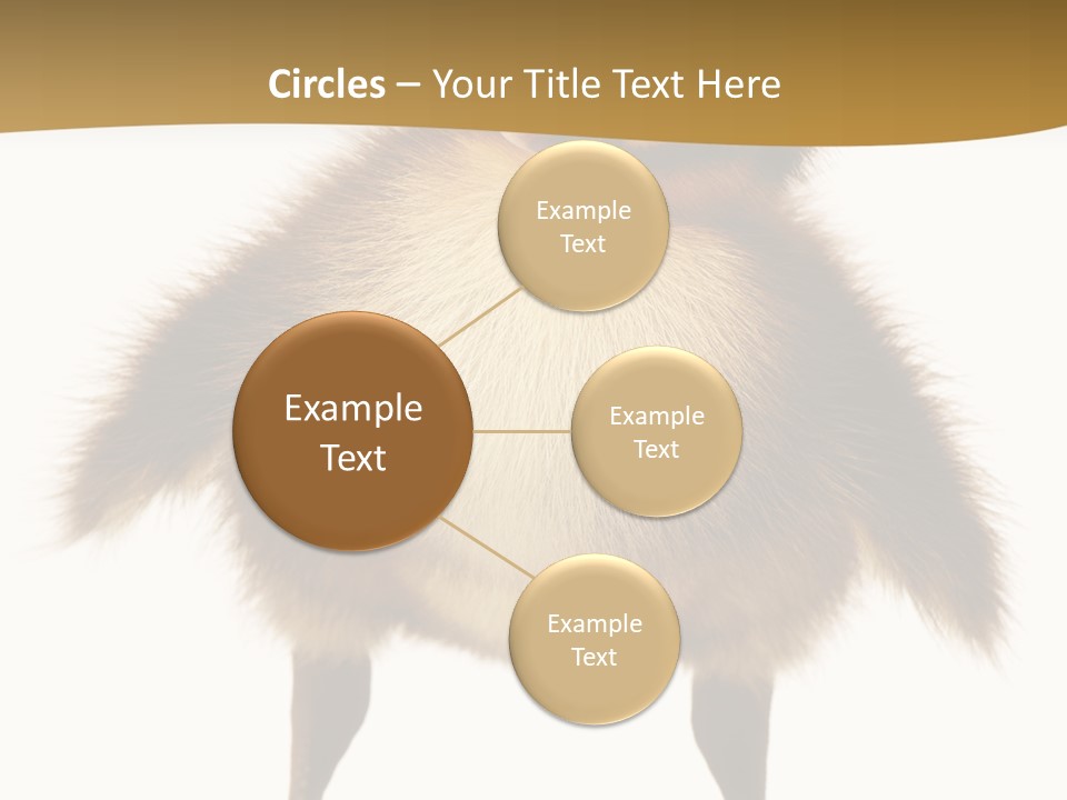 Vertebrate Duckling Closeup PowerPoint Template