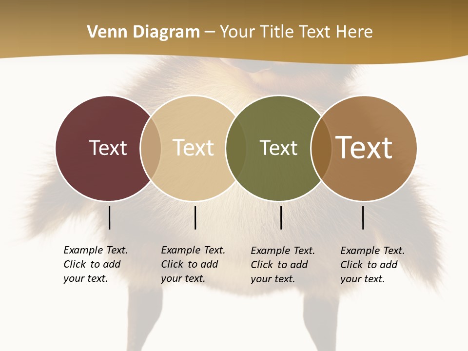 Vertebrate Duckling Closeup PowerPoint Template