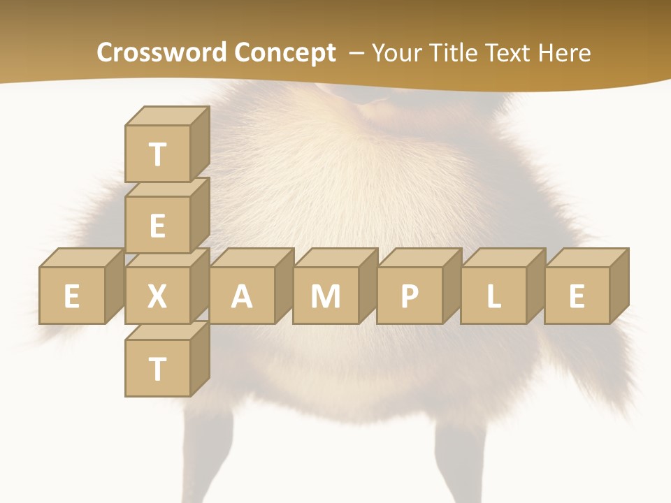 Vertebrate Duckling Closeup PowerPoint Template