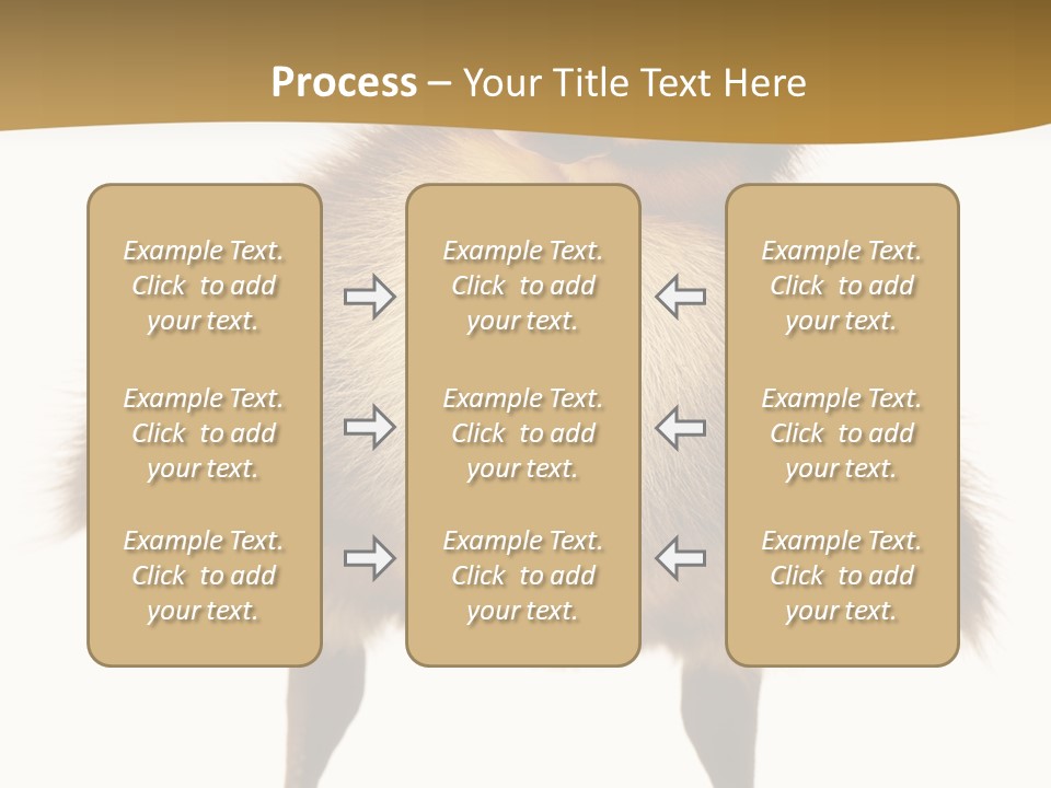 Vertebrate Duckling Closeup PowerPoint Template