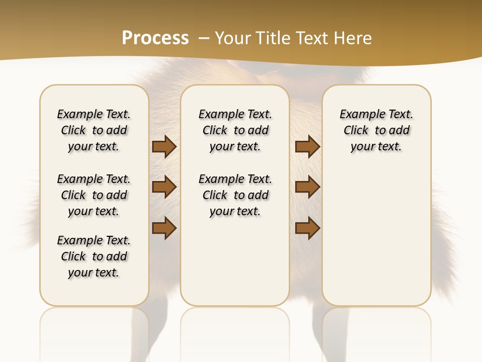 Vertebrate Duckling Closeup PowerPoint Template